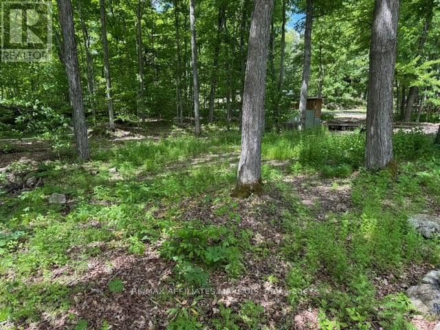 325 Cedar Sands Road — photo 19 of 26