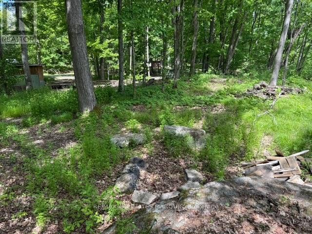 325 Cedar Sands Road — photo 21 of 26