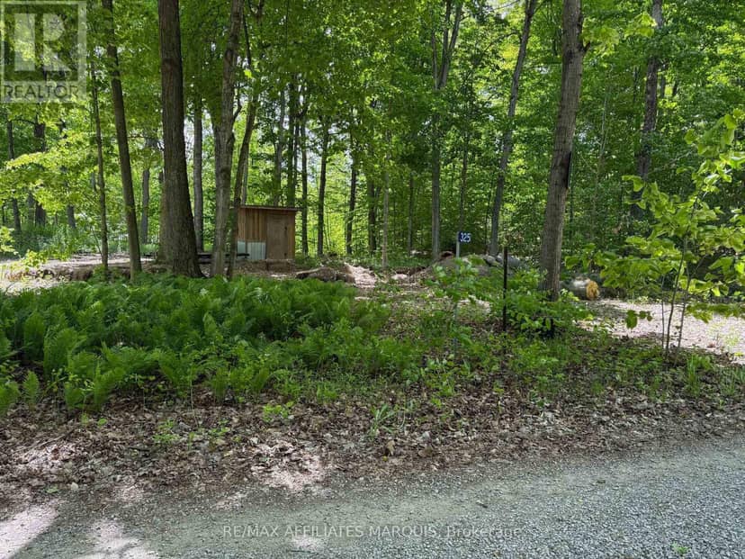 325 Cedar Sands Road — photo 24 of 26