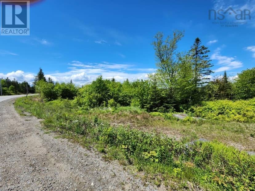 Larrys River Road — photo 5 of 6