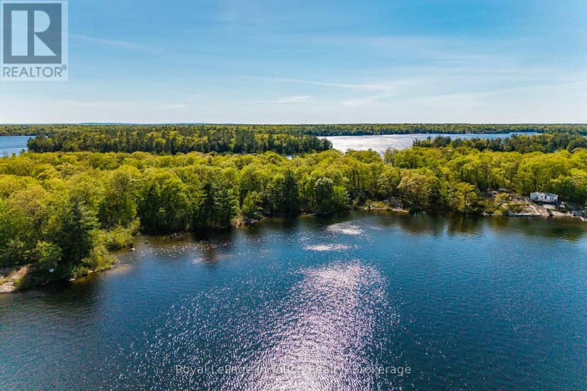 1958 Six Mile Lake Shore Island — photo 6 of 11