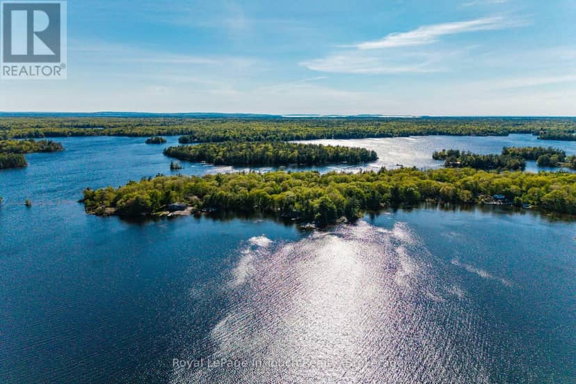 1958 Six Mile Lake Shore Island — photo 9 of 11