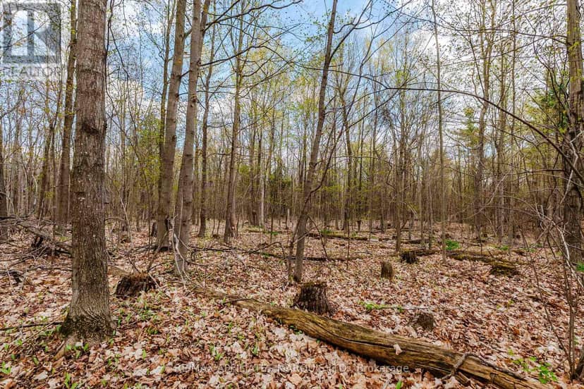 00000 Beaver Brook Road — photo 10 of 18