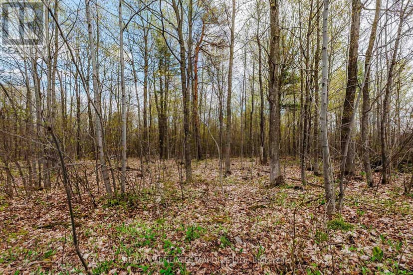 00000 Beaver Brook Road — photo 8 of 18