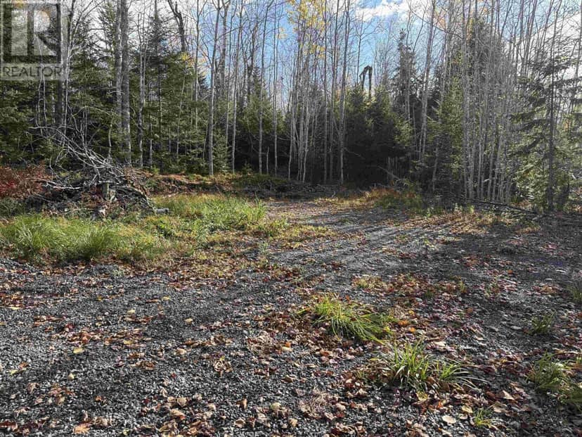 Lot 8 Shady Lane — photo 4 of 17