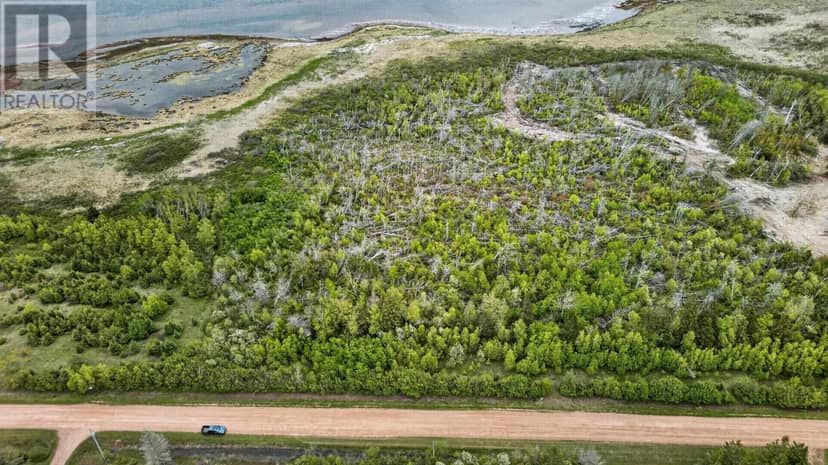 Belmont Park Road — photo 17 of 39