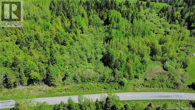 Lot 98-1 Mainstream Road, Mainstream, photo 4