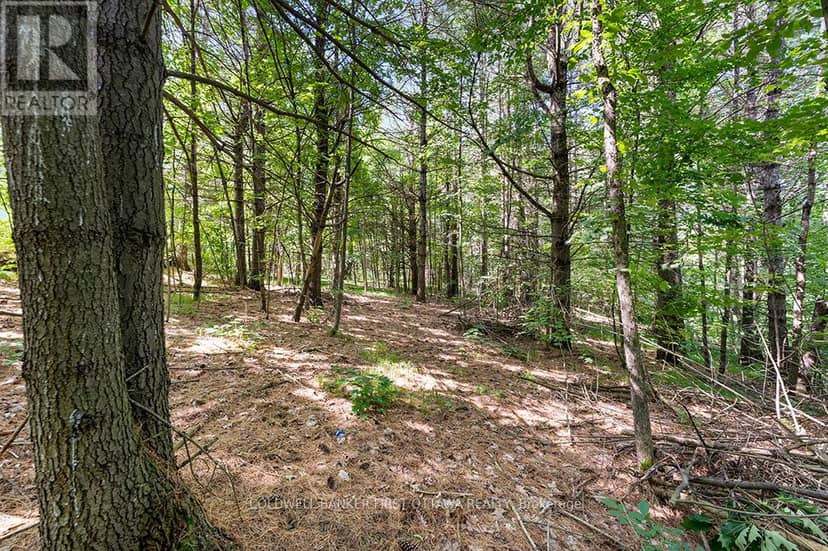 115 Doran Road — photo 6 of 15