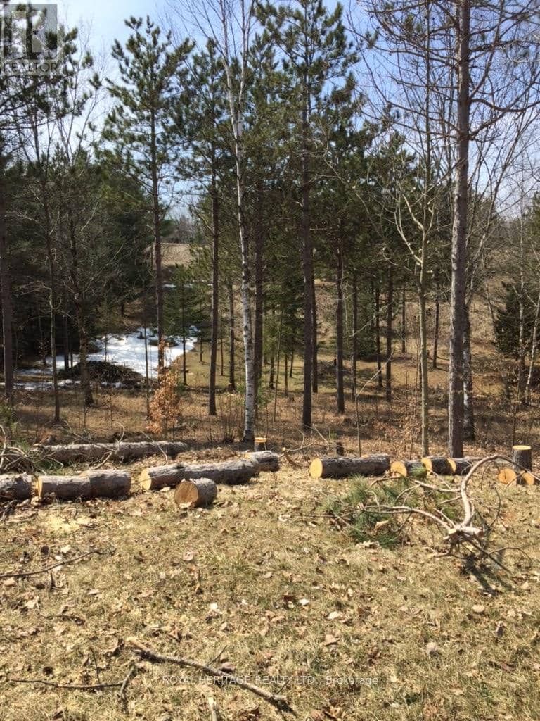 6677 Concession 2 Road — photo 21 of 40