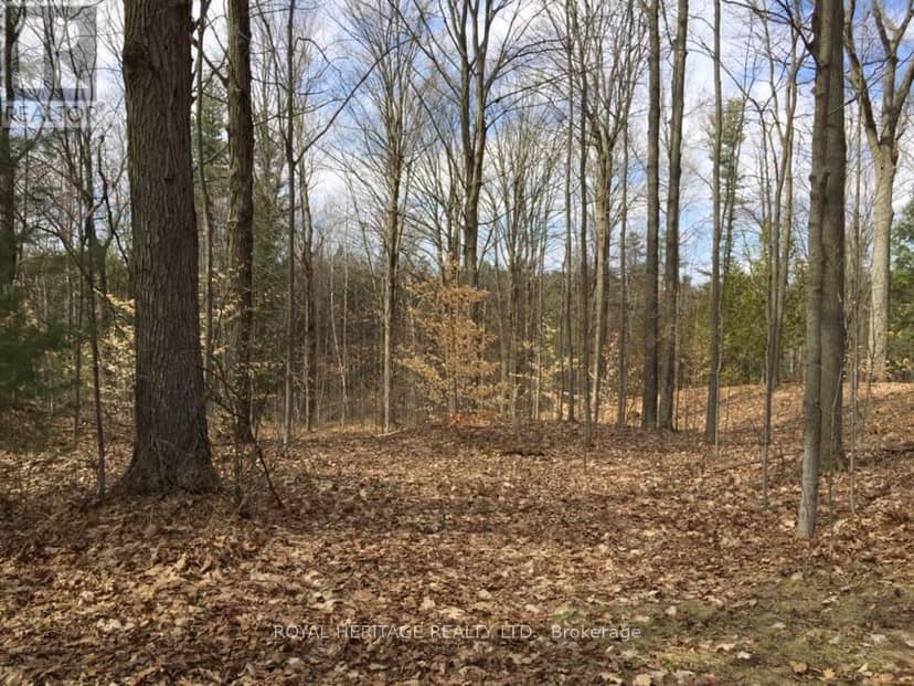 6677 Concession 2 Road — photo 32 of 40