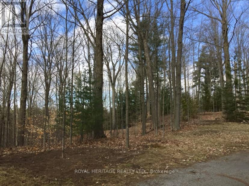 6677 Concession 2 Road — photo 33 of 40