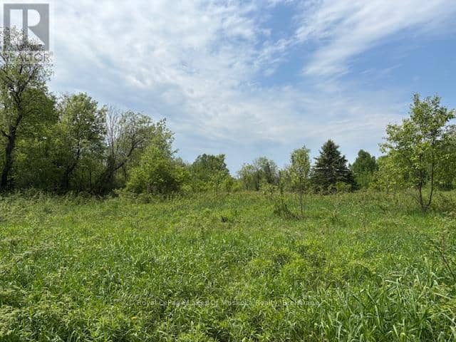351 Ravenscliffe Road — photo 10 of 22