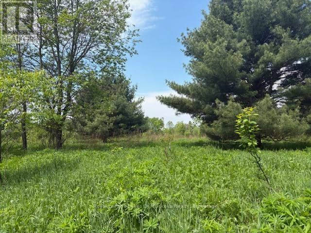 351 Ravenscliffe Road — photo 2 of 22