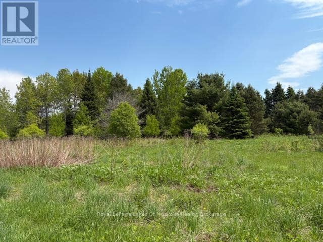 351 Ravenscliffe Road — photo 21 of 22