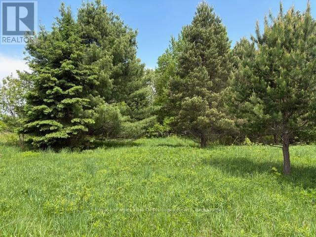 351 Ravenscliffe Road — photo 9 of 22