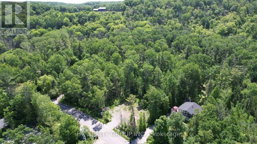 LT101 Silver Birch Drive — photo 18 of 20