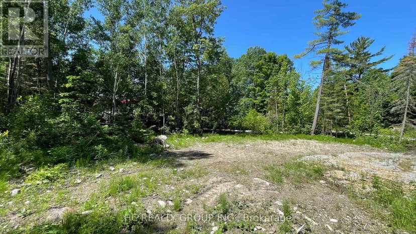 LT101 Silver Birch Drive — photo 6 of 20