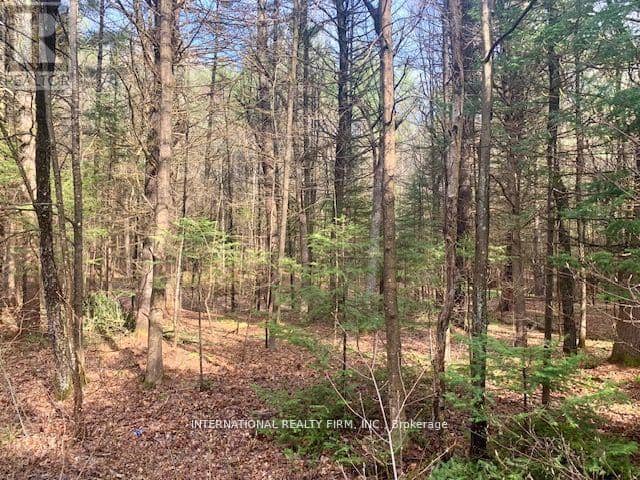 0 The Ave Road N — photo 2 of 4