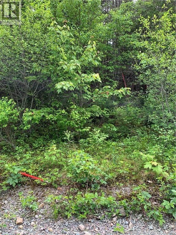 Lot 15-B Burchills Flats — photo 7 of 10
