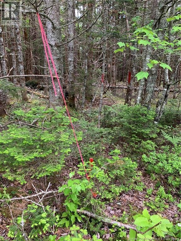 Lot 15-B Burchills Flats — photo 8 of 10