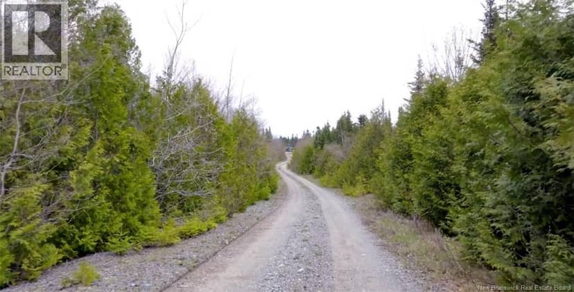 Downeast Drive — photo 6 of 8