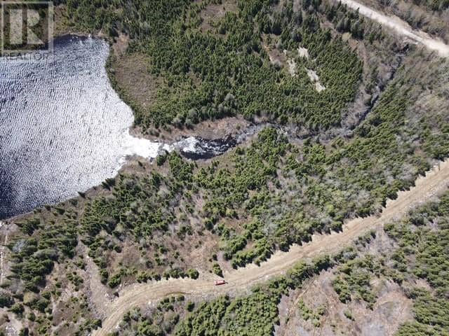 Lot 5 Little Northwest Pond, Glovertown, photo 8