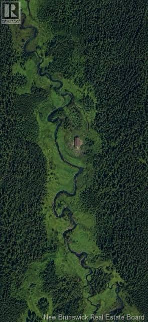 Camp Graham Road — photo 2 of 15