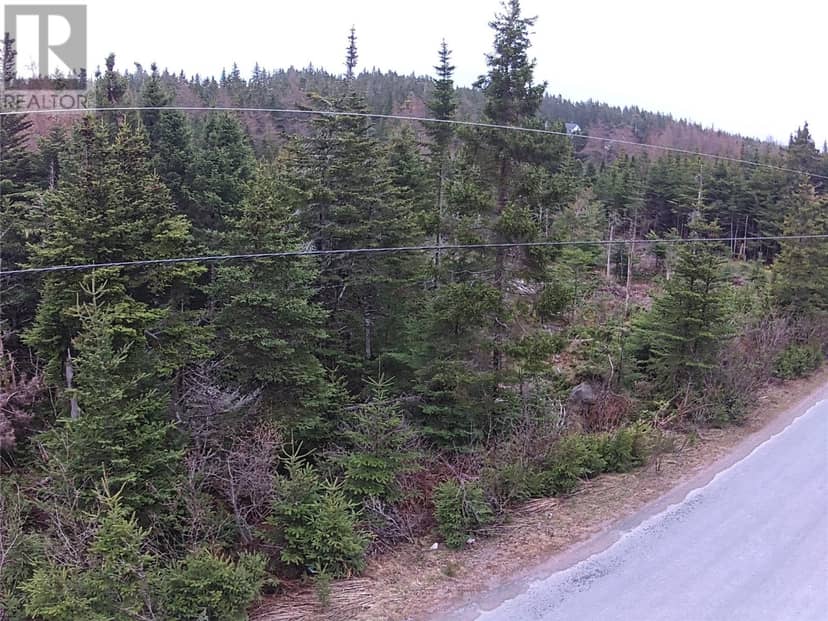 54 Ridge Road, Holyrood, photo 3