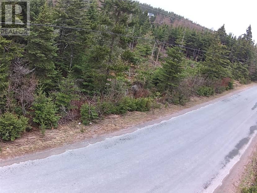 54 Ridge Road, Holyrood, photo 5