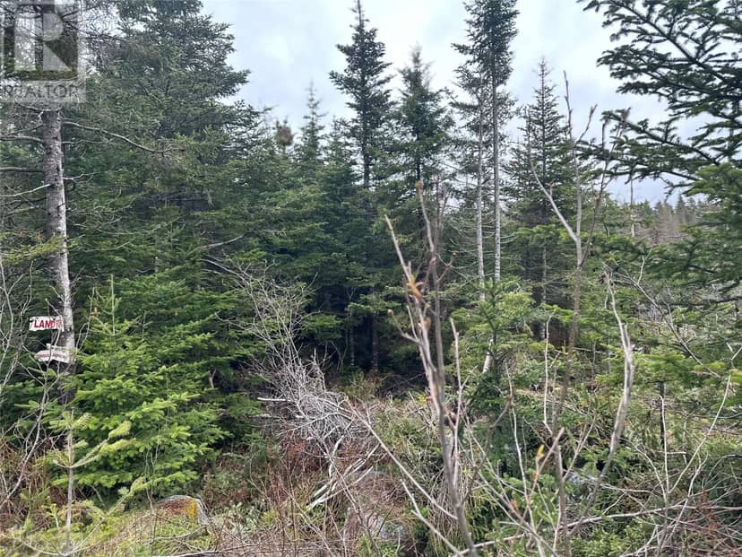 54 Ridge Road, Holyrood, photo 6