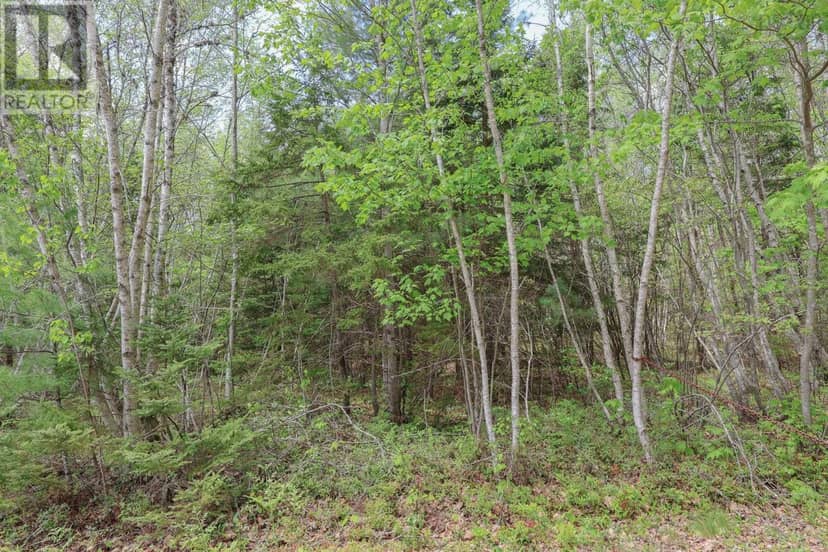 Lot 102 Cleversey Ridge Park, Fauxburg, photo 6
