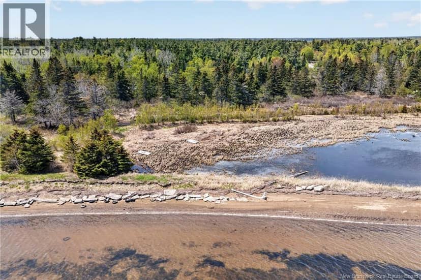 3.36 acres rue De L'Outarde — photo 10 of 13