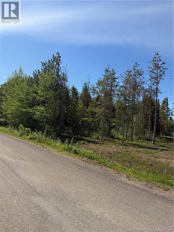 Lot Cody Road — photo 1 of 4