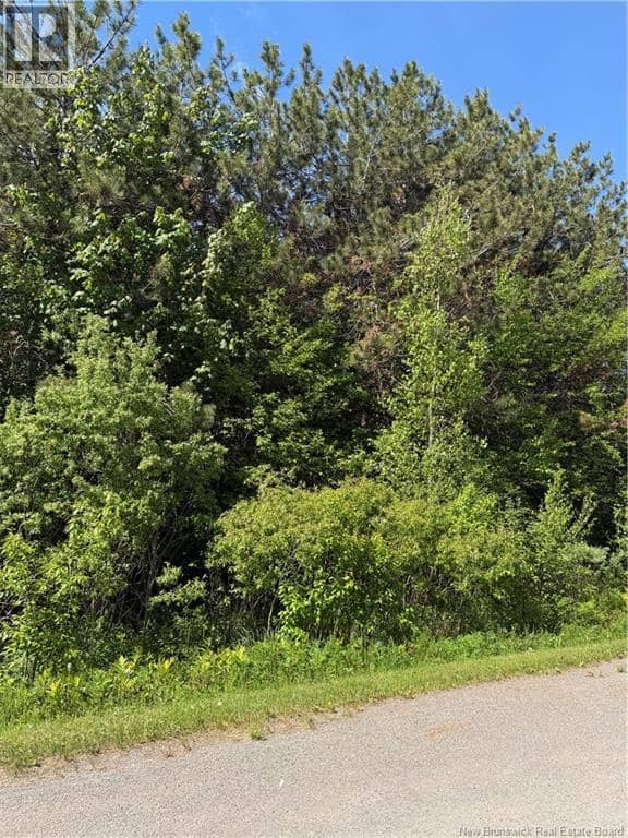 Lot Cody Road — photo 2 of 4