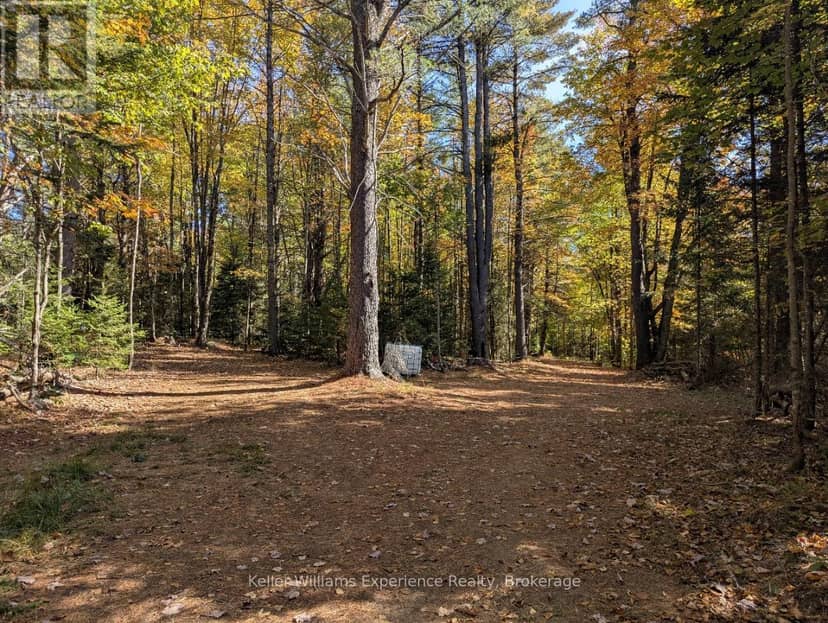 PL20 Langford Road, Lake of Bays, photo 8