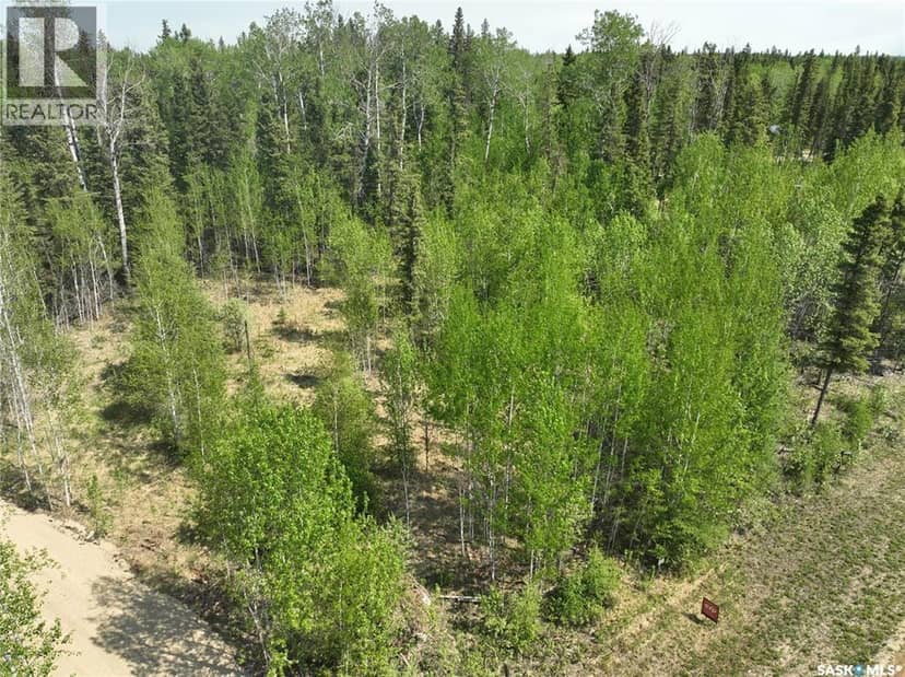 6 Roy Stevens BAY, Candle Lake, photo 6