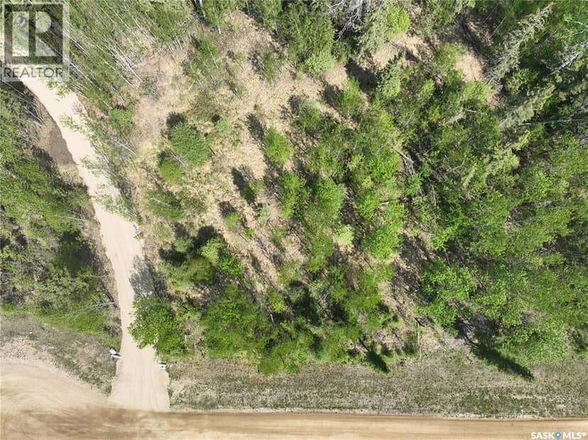 6 Roy Stevens BAY, Candle Lake, photo 7