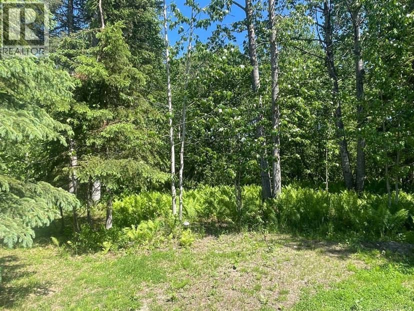 Lot 100 Willow Drive, Grouard, photo 6