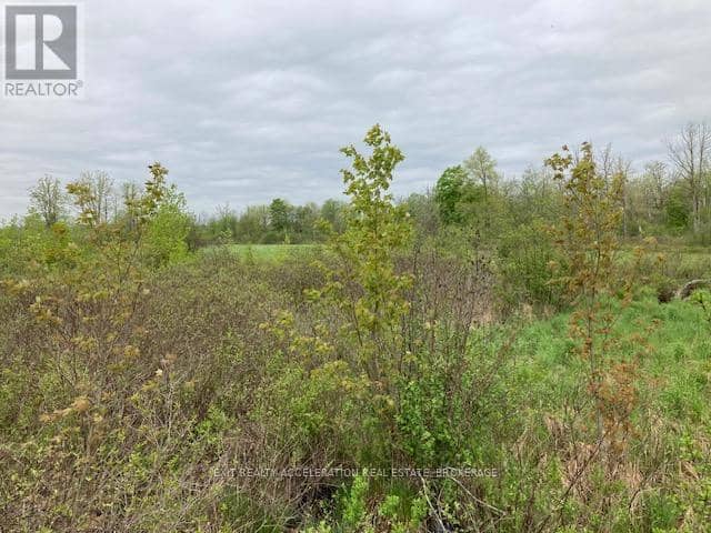 0 9th Concession Road — photo 25 of 26