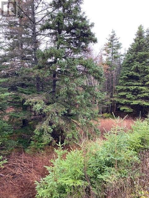 94-96 Highway East — photo 2 of 5