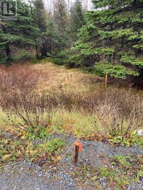 94-96 Highway East — photo 4 of 5