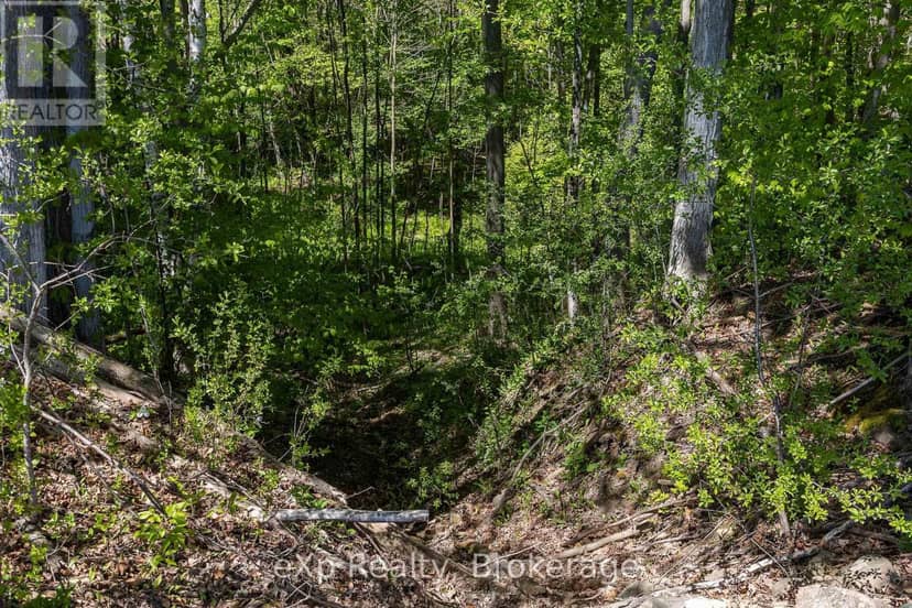 157659 7th Line — photo 31 of 40