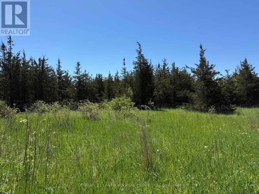 Between 72 & 337 County 24 Road — photo 14 of 17