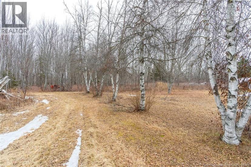 Lot 75-6 Petite Riviere, Aldouane