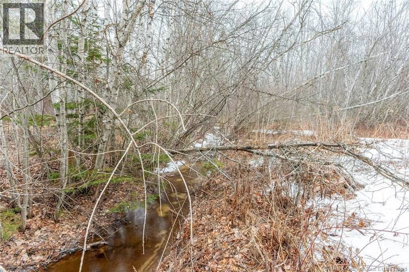 Lot 75-6 Petite Riviere, Aldouane, photo 8