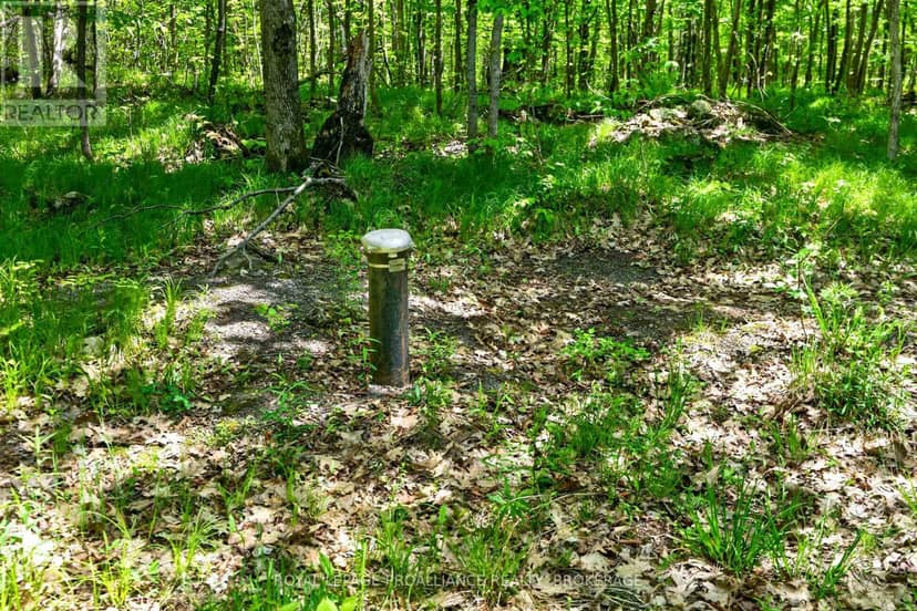 Pt Lts 12 & 13 Devil Lake Road — photo 12 of 17