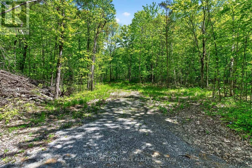 Pt Lts 12 & 13 Devil Lake Road, South Frontenac