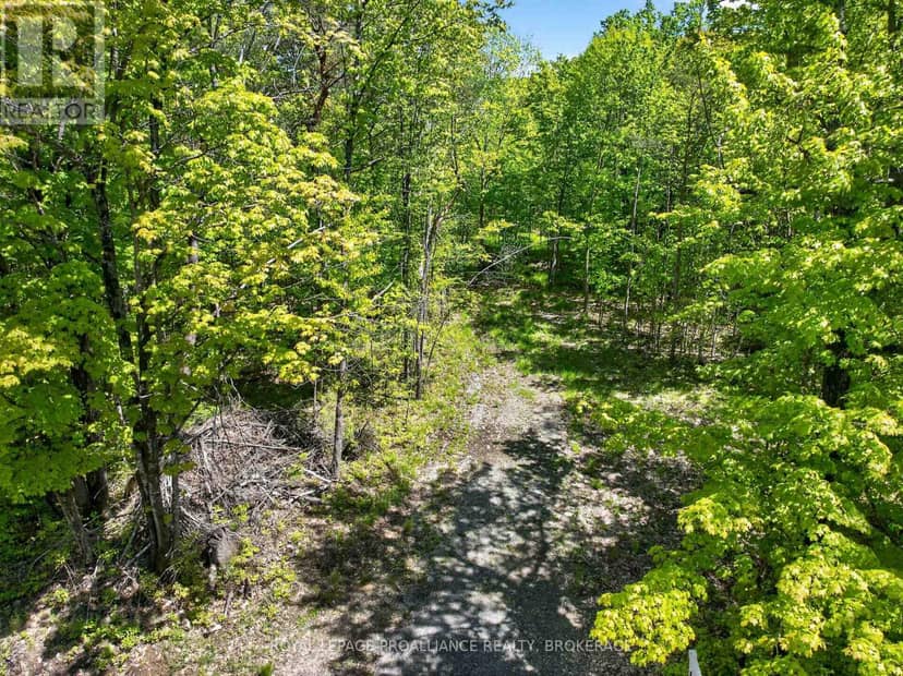 Pt Lts 12 & 13 Devil Lake Road, South Frontenac, photo 6