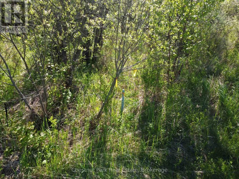 Con 13, Pt Lot 21, Part 1 Golf Course Road — photo 10 of 25