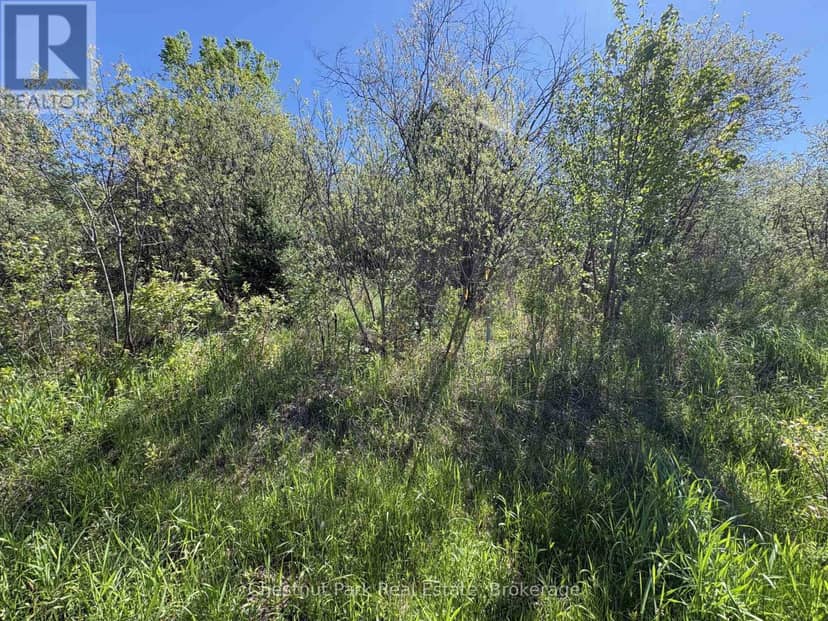 Con 13, Pt Lot 21, Part 1 Golf Course Road — photo 14 of 25